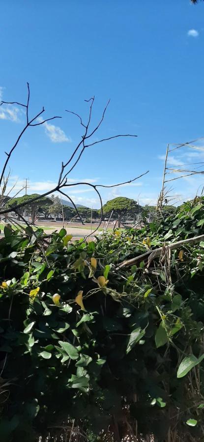 Les Iles D'Or Au Port De Hyeres Grand Studio Climatise Hyères Exterior foto