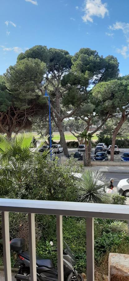 Les Iles D'Or Au Port De Hyeres Grand Studio Climatise Hyères Exterior foto