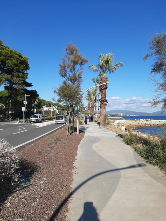 Les Iles D'Or Au Port De Hyeres Grand Studio Climatise Hyères Exterior foto